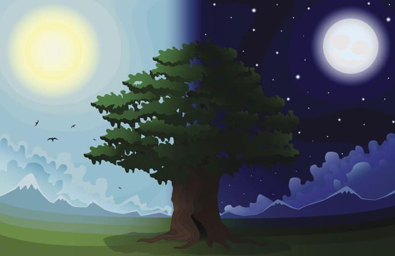 شب و روز چگونه به وجود می‌آید