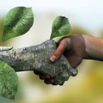 تحقیق در مورد حفاظت از محیط زیست